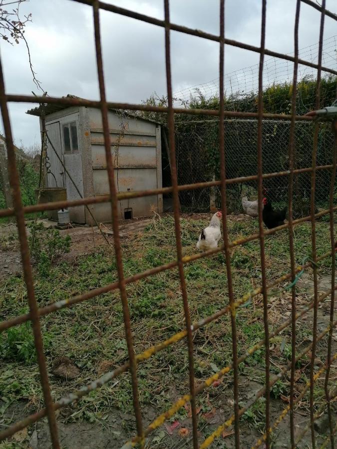 Campagne Proche Bayeux Et Plages Du Debarquement. Crouay Εξωτερικό φωτογραφία